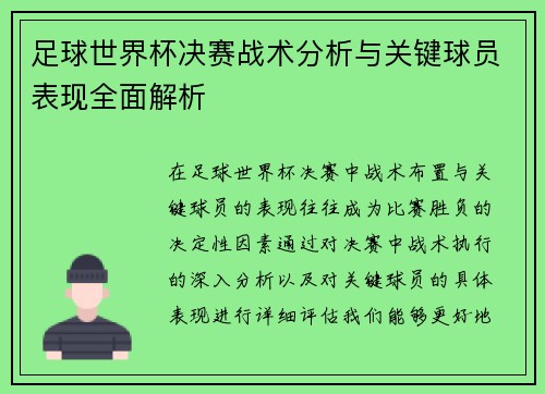 足球世界杯决赛战术分析与关键球员表现全面解析